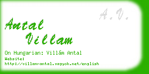 antal villam business card